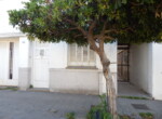 DSCN9952