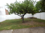 DSCN2126