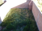 DSCN1969