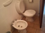 9a000fcb-08d8-42c5-917d-a90ccf26196d